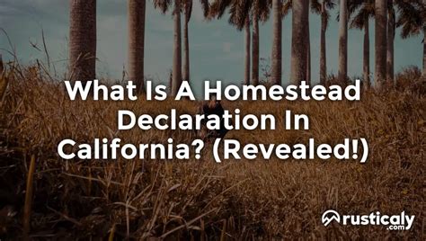 California Homestead Rechte